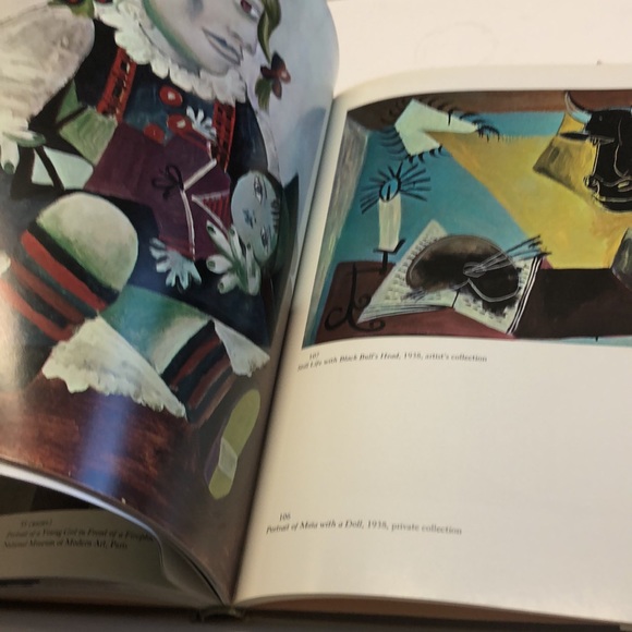 Understanding PICASSO - hardcover book by D. Porzio and M. Valse chi - Picture 11 of 14